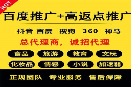 SEM代运营服务公司成功案例解析